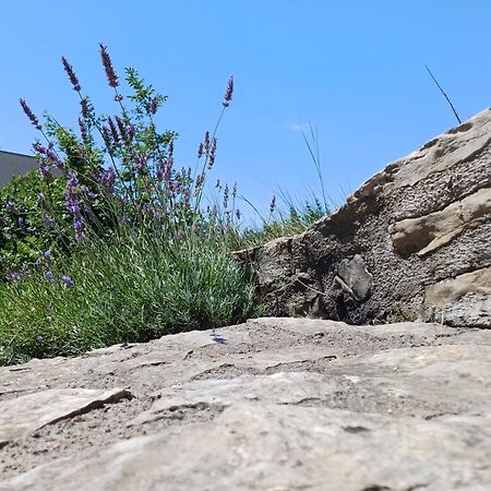 야세니스 Ambiente 아파트 외부 사진